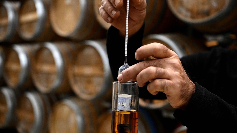 Cognacprobe in Frankreich