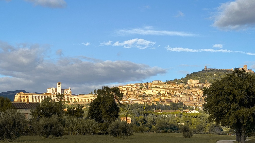 Blick auf Assisi
