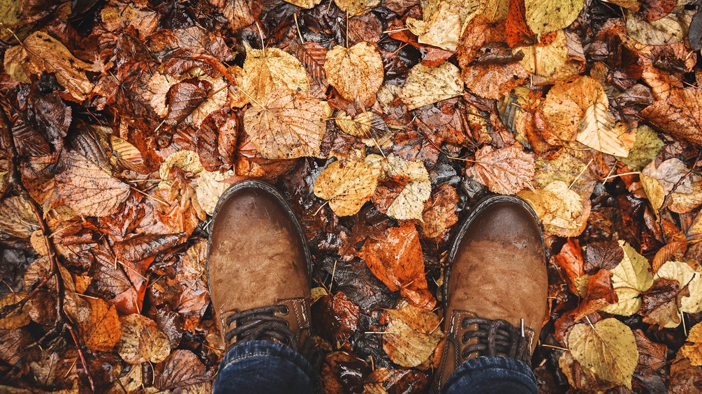 Festes Schuhwerk und nasse Herbstblätter