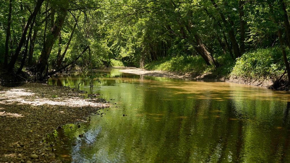 Kleiner Nebenbach des Mississippi