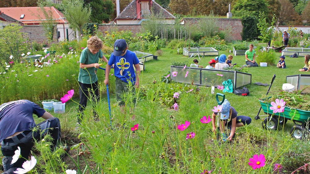 Kinder City Farm