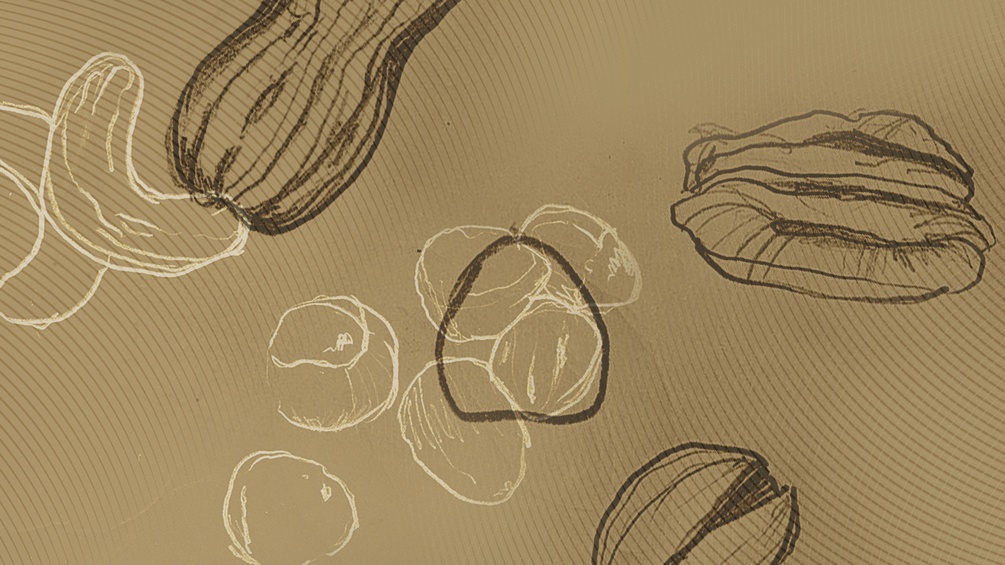 Illustration verschiedener Nüsse.
