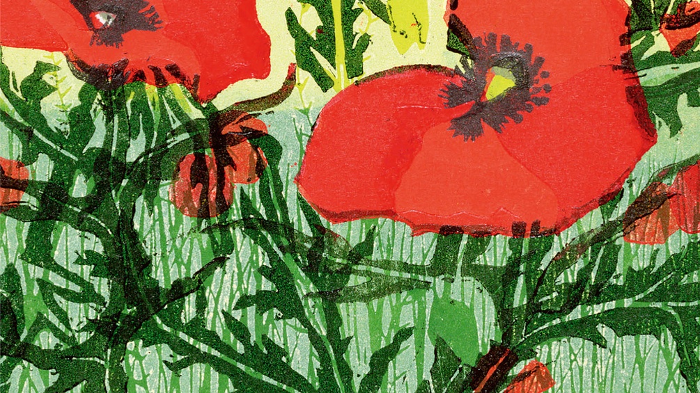 Gemalte Mohnblumen, Cover-Ausschnitt