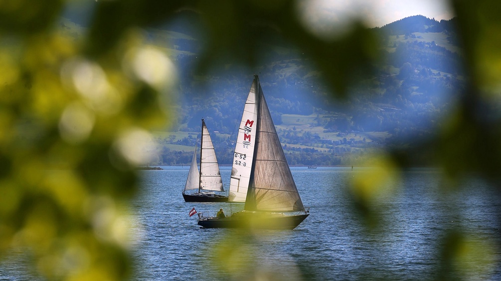 Segelboote fahren über den Bodensee bei Lindau 