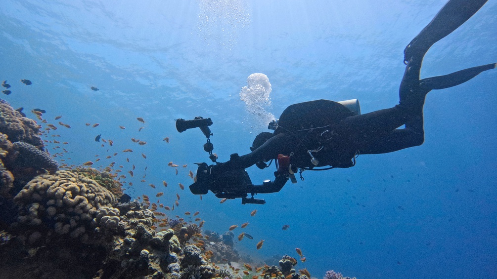 Taucher unter Wasser - Rotes Meer