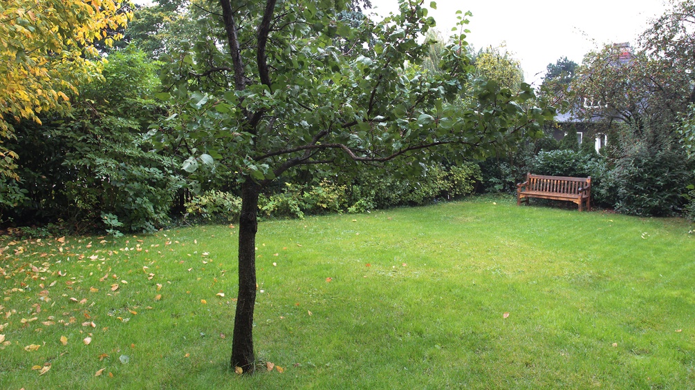 Garten der Villa von Peter Alexander in Döbling