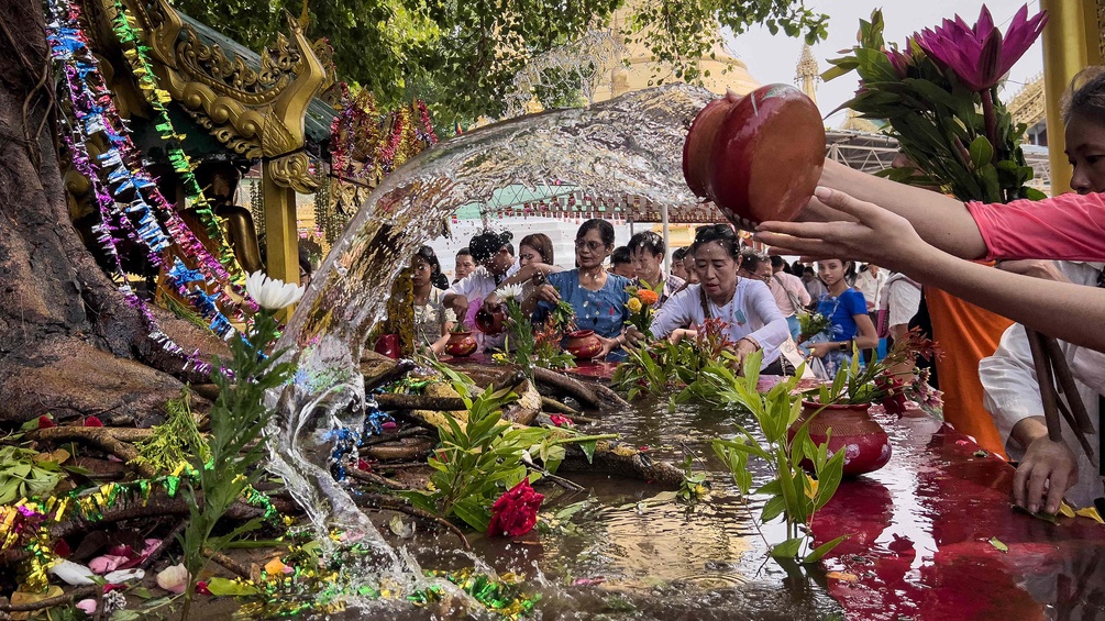 Menschen feiern den Bodhi-Tag: Wasser wird zu einem Bodhi-Baum geschüttet