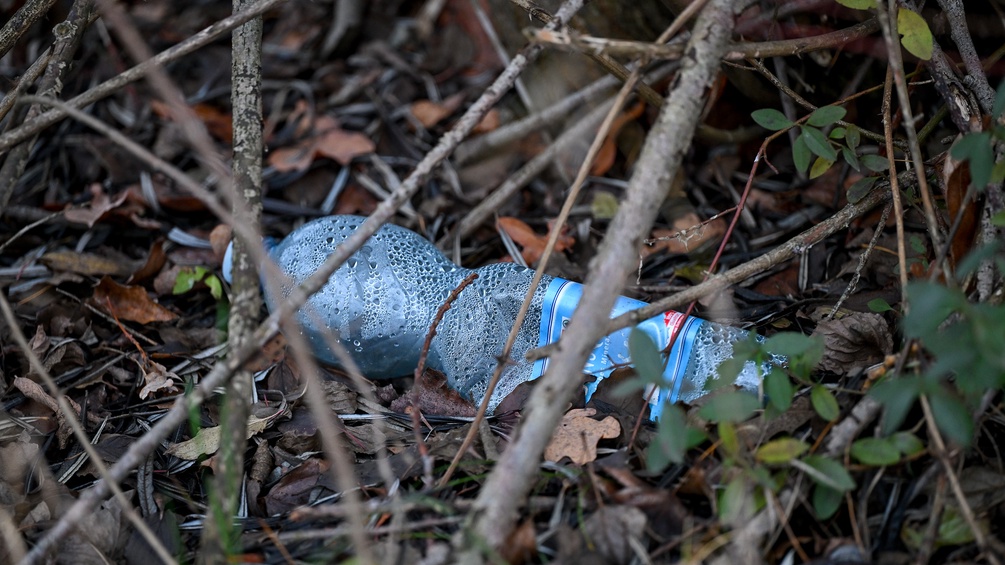 Pflastikflasche im Wald