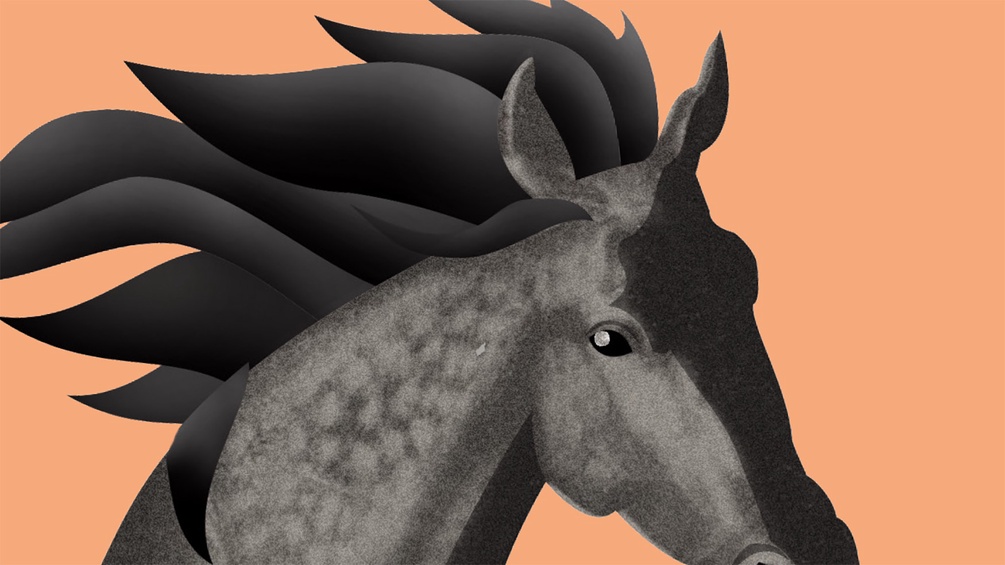 Gemaltes Pferd, Ausschnitt des Buchcovers