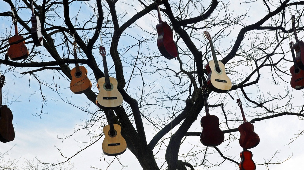 Mehrere Gitarren hängen an einem Baum