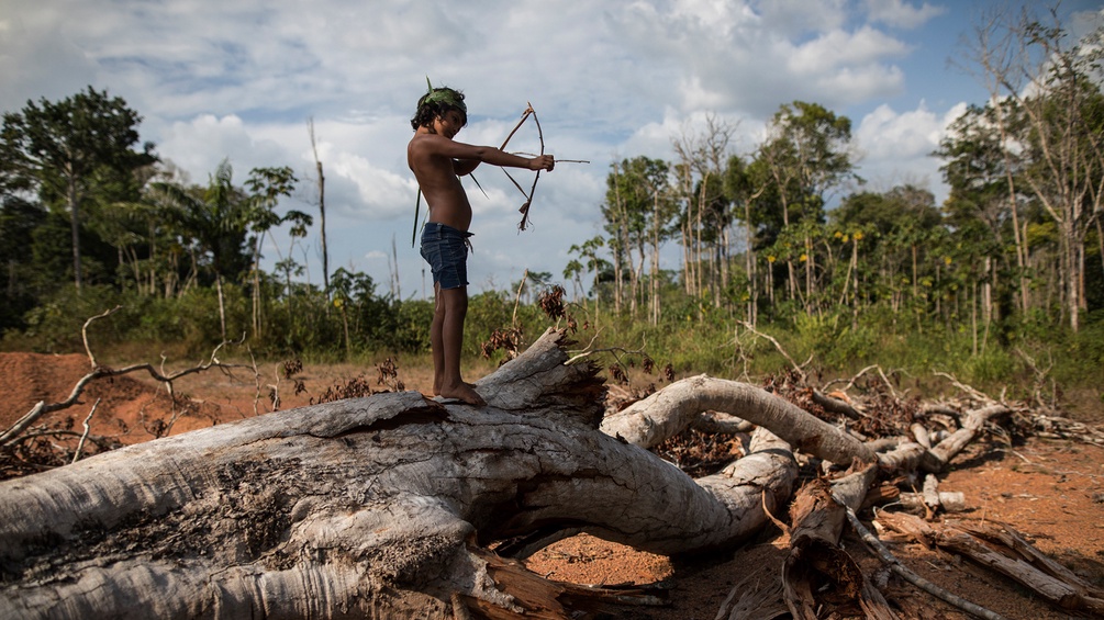 PICTUREDESK.COM/AP/RODRIGO ABD Junge Person mit Pfeil und Bogen im brasilianischen Dschungel, Amazonas
