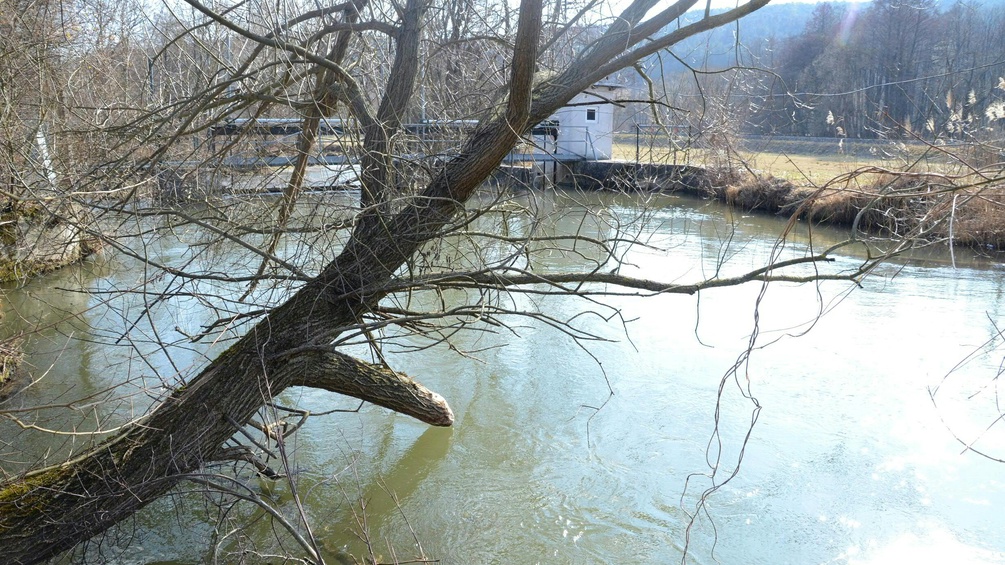 Fluss mit Baum und Stauabschnitt