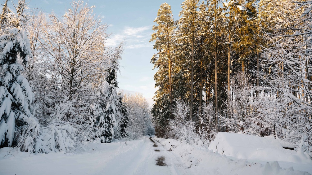 Winterlandschaft