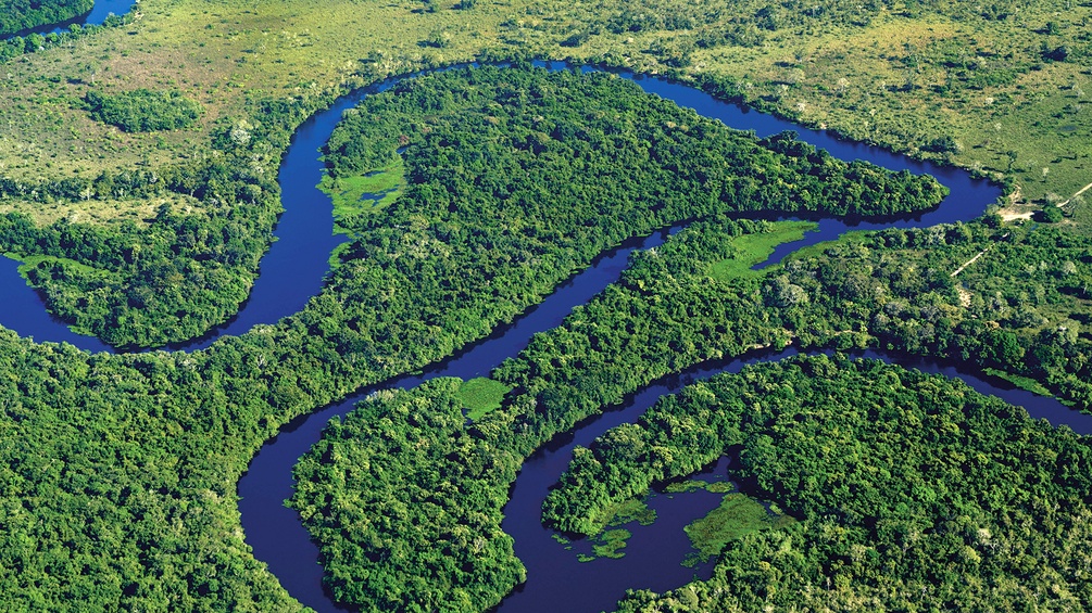 Gewässer (Rio Claro) in Brasilien, Dschungel
