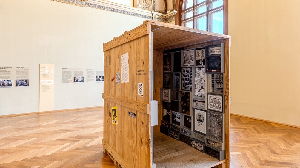 NHM WIEN/W. BAUER-THELL "Freighted - Verfrachtet. 500 Jahre Sammeln und Ausstellen von Nashörnern", Ausstellungsansicht