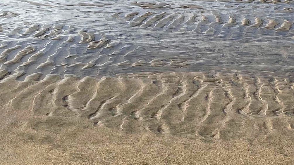 Wellige Wasserspuren im Sand, Ausschnitt des Covers "lost & found" von Erhart-Schwertmann/Aigner-Monarth