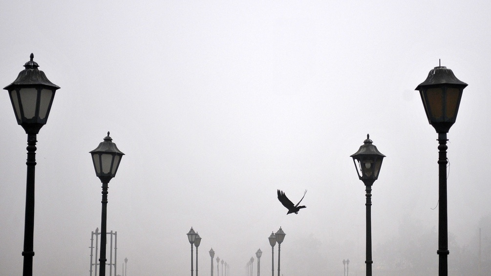 Laternen im Nebel, fliegender Vogel