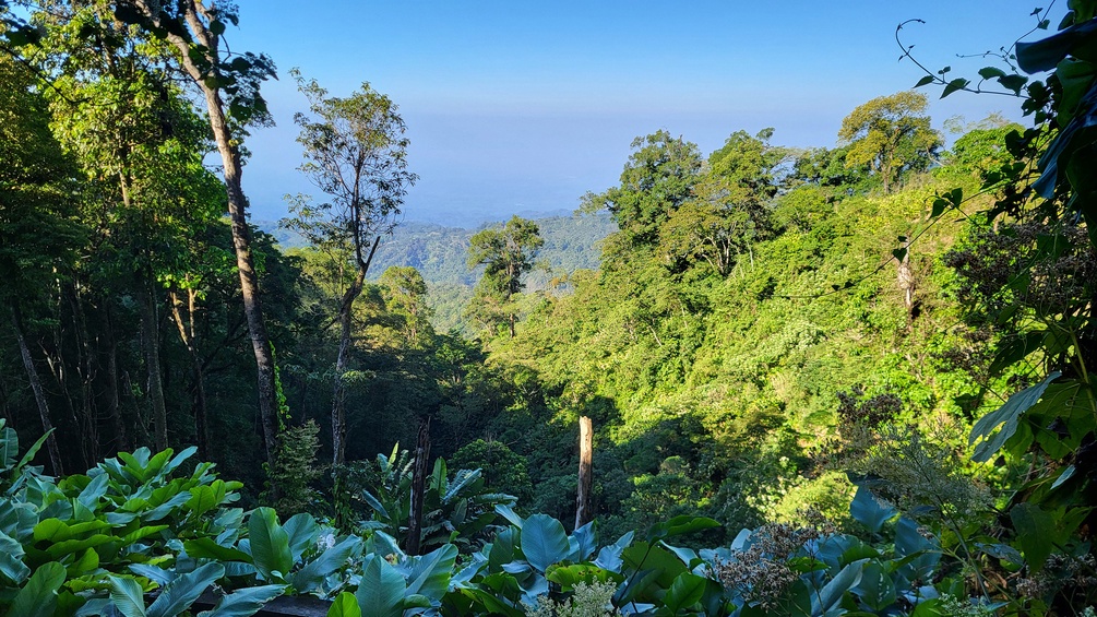 Nebelwald, Guatemala