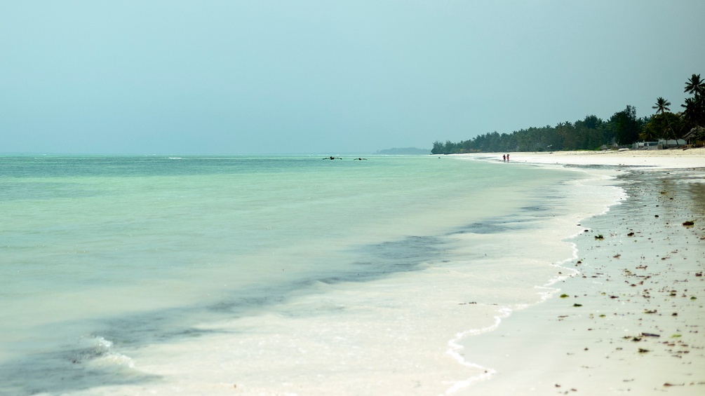 Strand in Sansibar