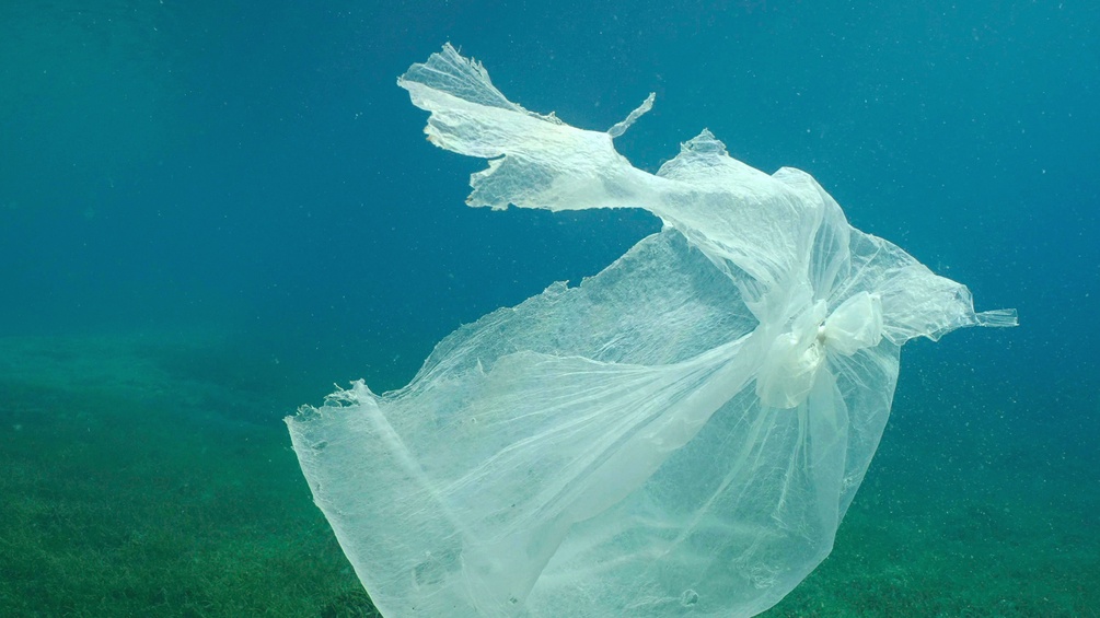 Zerrissenes Sackerl unter Wasser