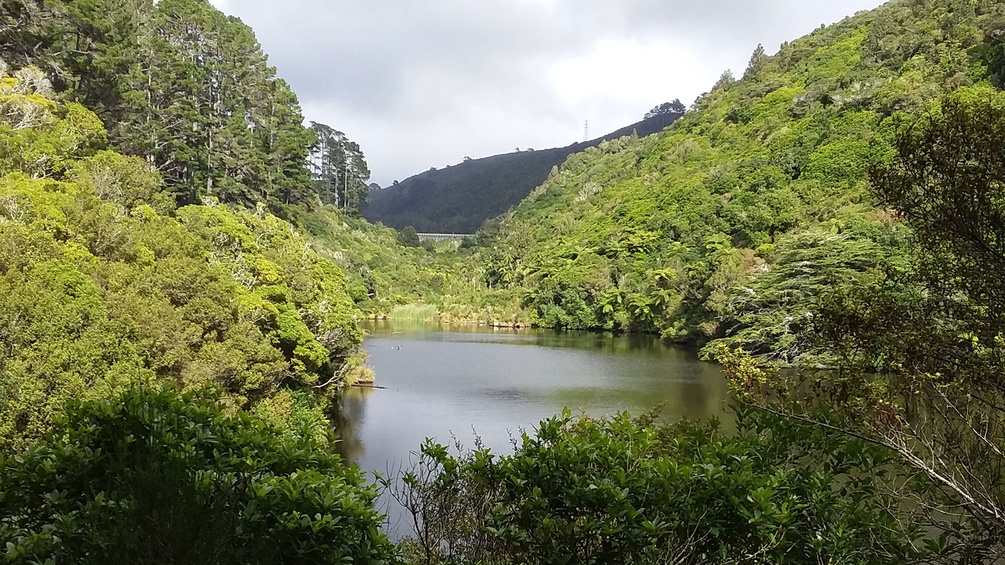 Naturlandschaft mit Wasser, Neuseeland
