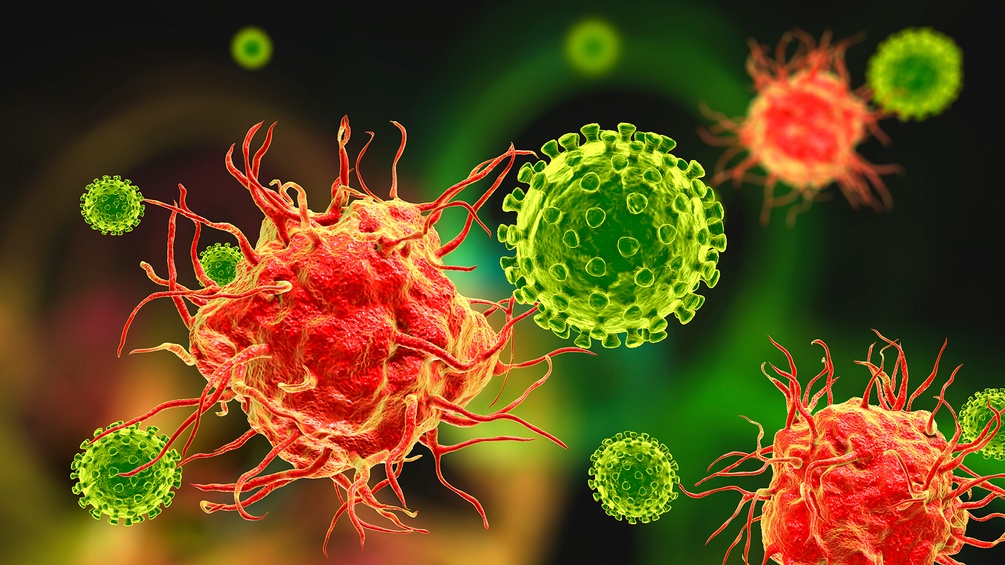 Virus und dendritische Zellen (Zellen des Immunsystems)