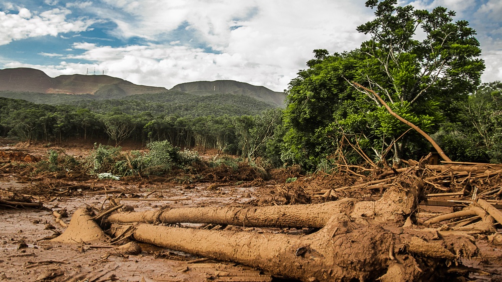 Nach dem Unglück von Brumadinho: Eine von Schlamm zerstörte Landschaft.