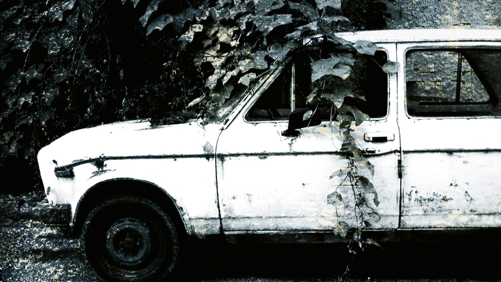 Autowrack mit Pflanze, Ausschnitt des Albumcovers