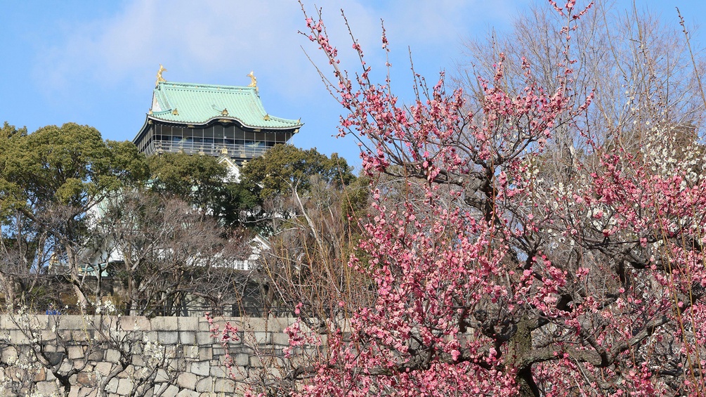 PICTUREDESK.COM/AP/YOMIURI SHIMBUN Schloss in Osaka