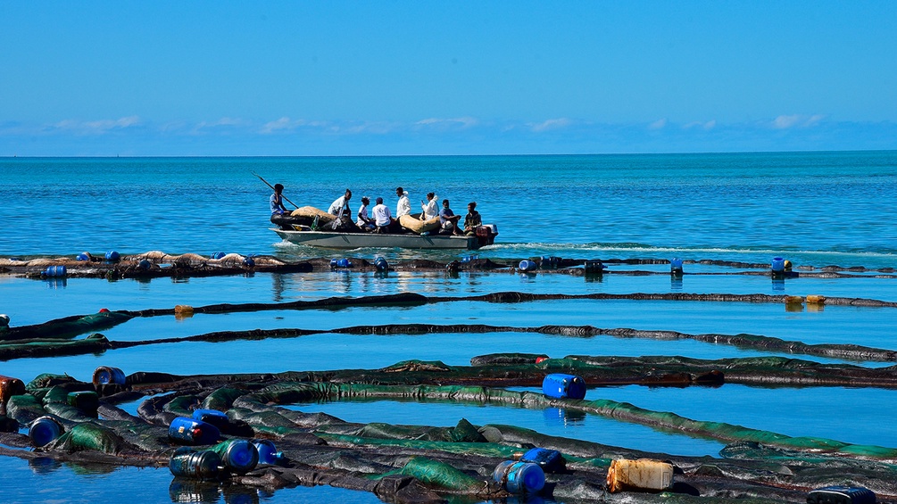 Ufer mit Abfall und Öl in Mauritius