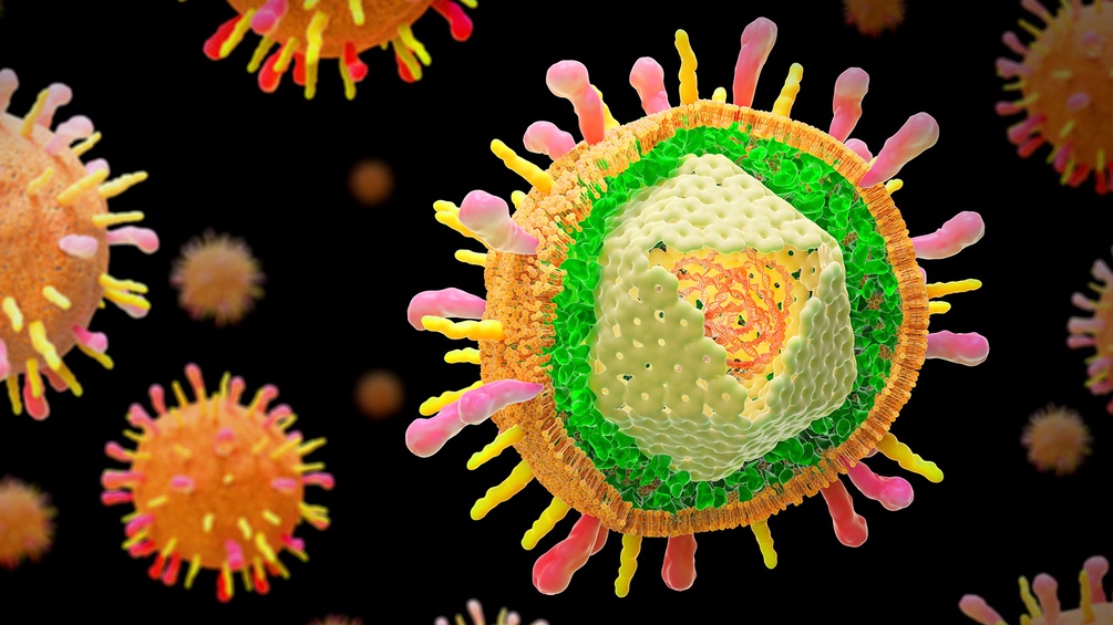 Varicella-Zoster-Virus, Grafik, Gürtelrose