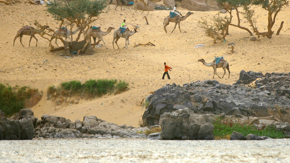 Ein Nubischer Bub geht mit Kamel entlang des Nil-Flusses