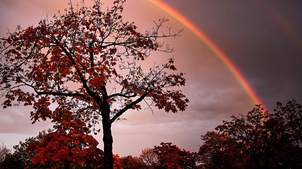 Romantischer Regenbogen