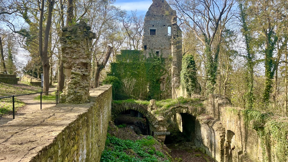 Altes Gebäude im Wald
