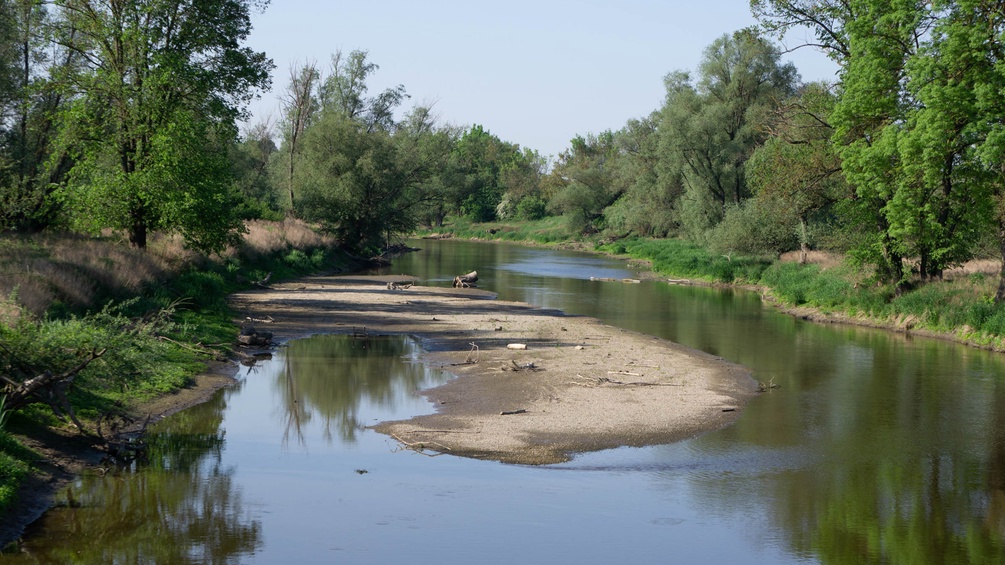 March, Auenreservat