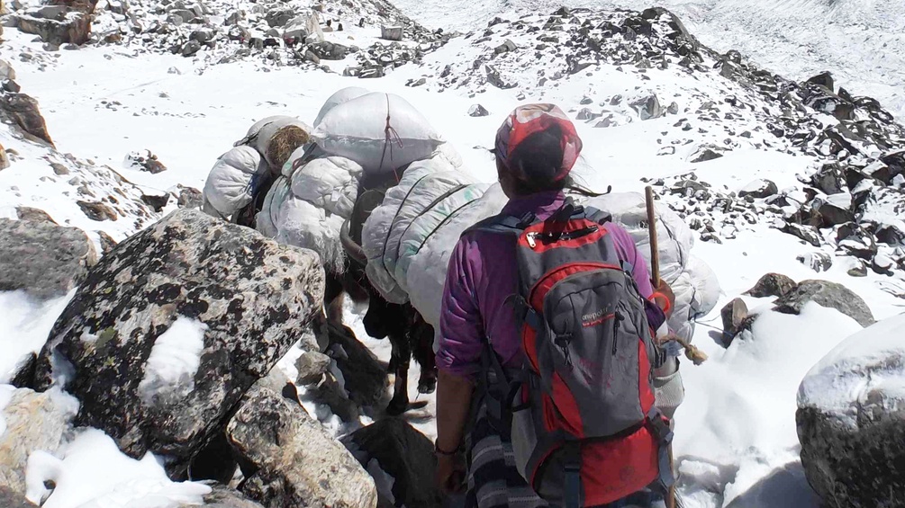 Eine Frau geht mit bepackten Tieren einen steilen Felsweg entlang.