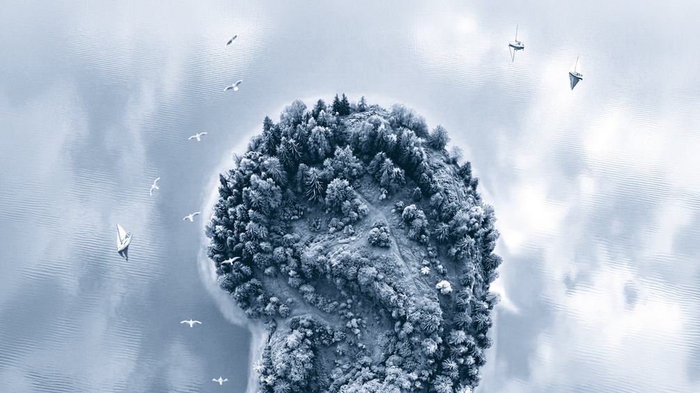 Insel