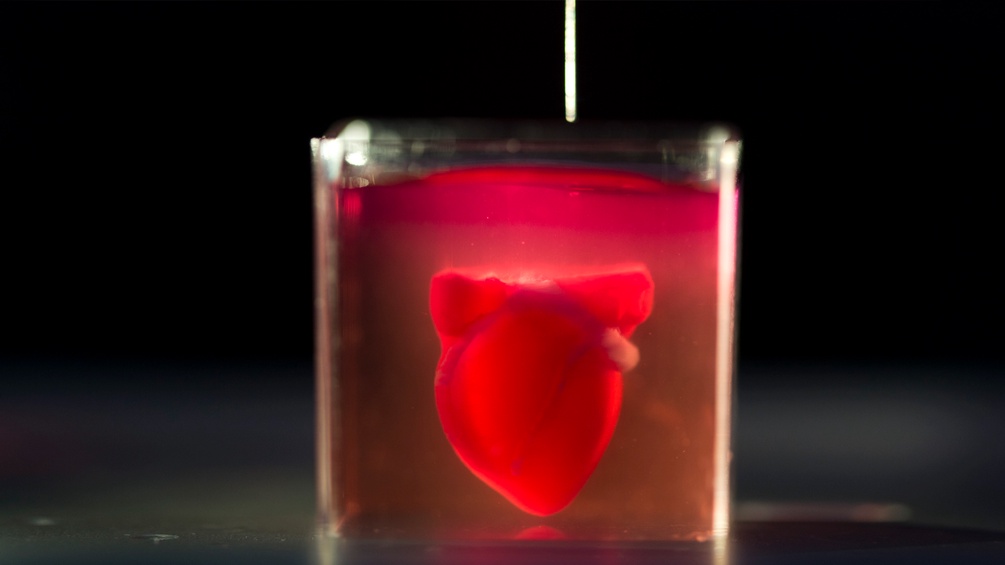 Ein 3D gedrucktes Herz