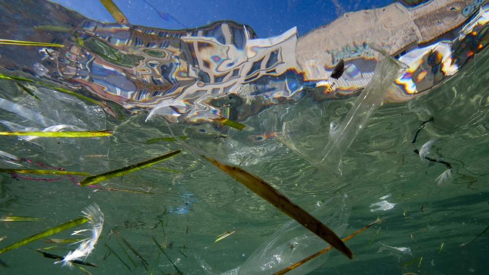 APA/AFP/Boris HORVAT Im Meer treibendes Plastik, fotografiert von unten