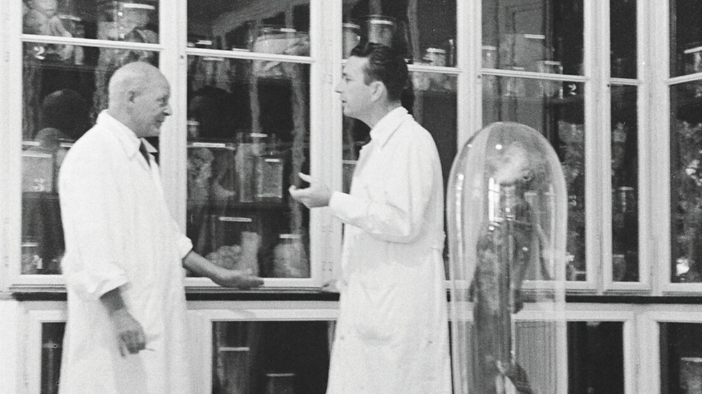 Zwei Wissenschaftler stehen im Labor.