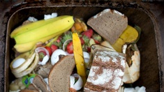 Lebensmittel in einer Mülltonne