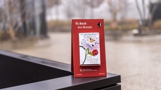 "Die späten Tage" von Wodin, Buch des Monats