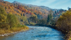 Theiß in der Ukraine