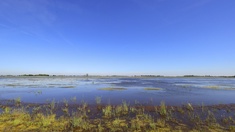 Nationalpark Neusiedler See - Seewinkel