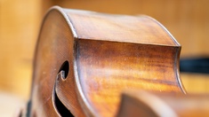 Körper eines Cellos, Violoncello