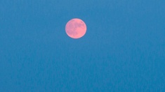 Orangefarbener Mond