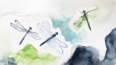Illustration von Libellen