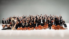 Tonkünstler-Orchester Niederösterreich