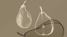 Illustration mehrerer Birnen.