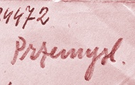 Brief